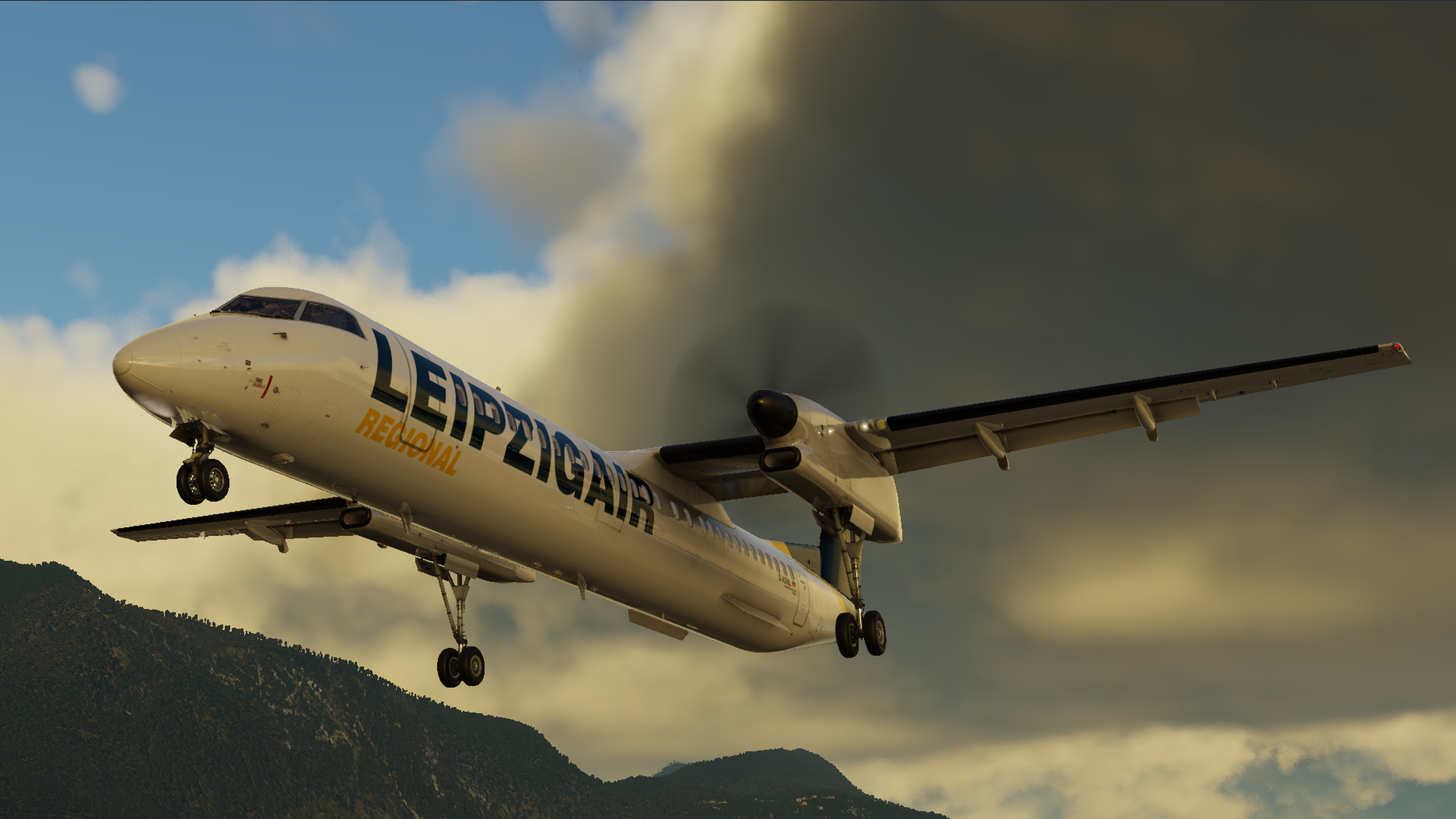 Flugzeugbild